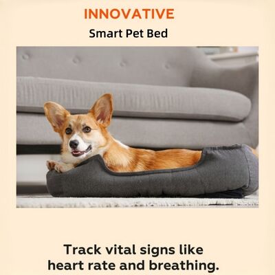 Smart Pet Bed With App Based Real Time Tracking Of Heart Rate Thở và ngủ Cung cấp thông tin về sức khỏe cấp thú y