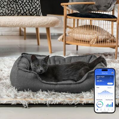 Smart Pet Bed With App Based Real Time Tracking Of Heart Rate Thở và ngủ Cung cấp thông tin về sức khỏe cấp thú y