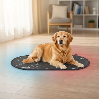 Electric Dog Bed with PTC Heating & Cooling System Bảo vệ nhiệt quá mức thân thiện với môi trường Tất cả mùa vật nuôi Giảm mát cho mèo & chó