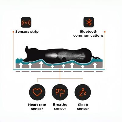 Smart Reptile Pet Bed Health Monitor Theo dõi nhịp tim Nhịp thở Nhịp ngủ Pad WiFi Control Outdoor & Car Use Pet Mat