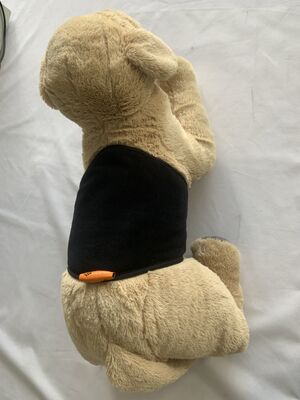 Thắt lưng cho thú cưng