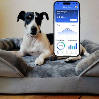 Smart Reptile Pet Bed Health Monitor Theo dõi nhịp tim Nhịp thở Nhịp ngủ Pad WiFi Control Outdoor & Car Use Pet Mat